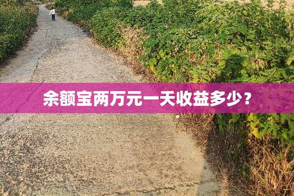 余额宝两万元一天收益多少？