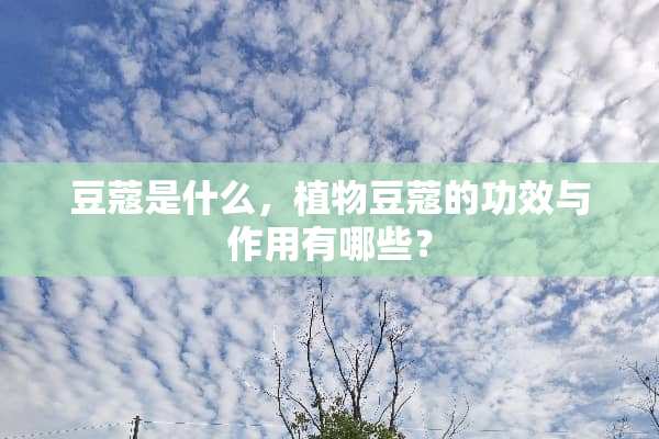 豆蔻是什么，植物豆蔻的功效与作用有哪些？