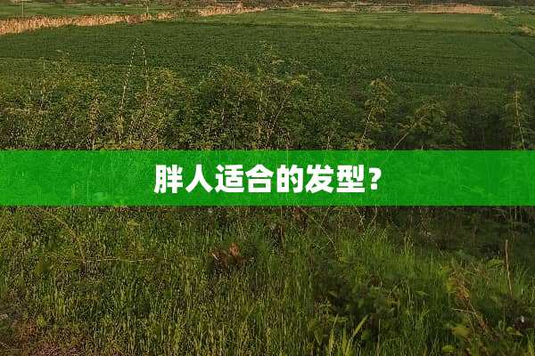 胖人适合的发型？
