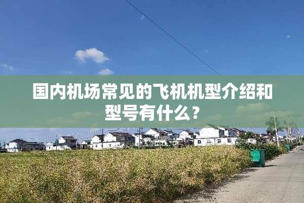 国内机场常见的飞机机型介绍和型号有什么？