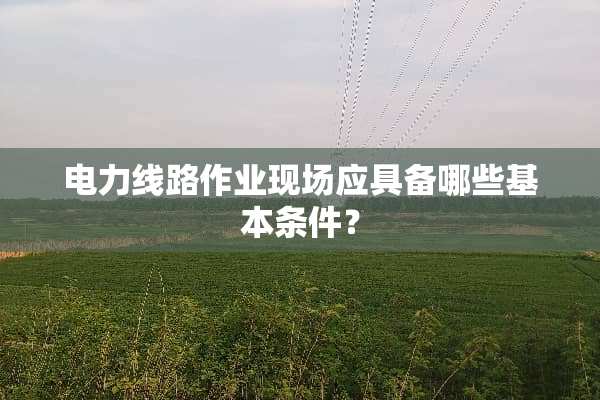 电力线路作业现场应具备哪些基本条件？