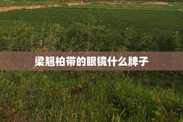 梁翘柏带的眼镜什么牌子