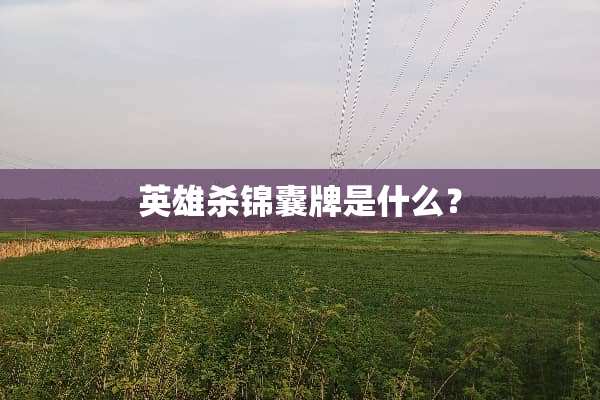 英雄杀锦囊牌是什么？