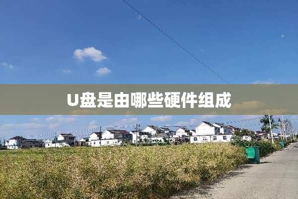 U盘是由哪些硬件组成