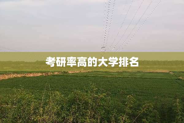 考研率高的大学排名