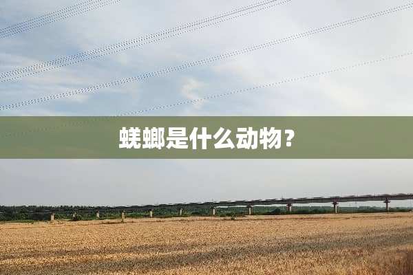 蜣螂是什么动物？