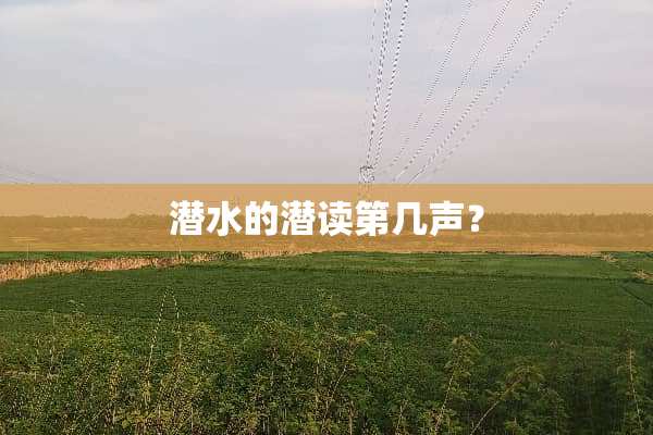 潜水的潜读第几声？