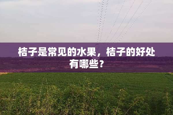 桔子是常见的水果，桔子的好处有哪些？