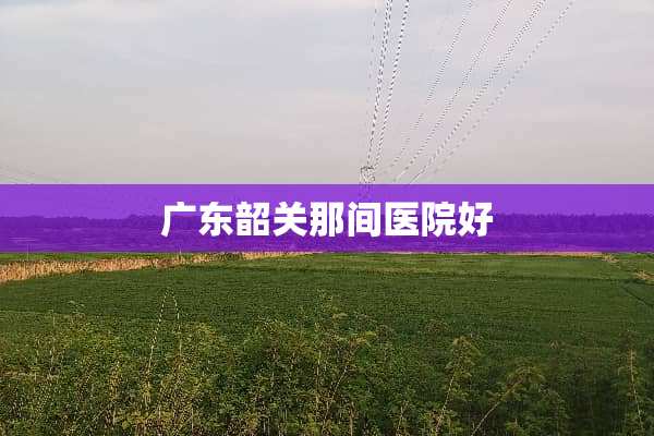 广东韶关那间医院好
