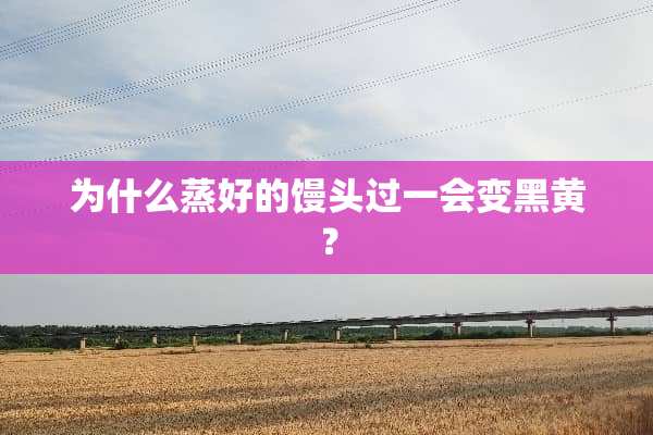 为什么蒸好的馒头过一会变黑黄？