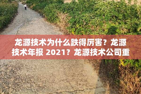 龙源技术为什么跌得厉害？龙源技术年报 2021？龙源技术公司重大利好？