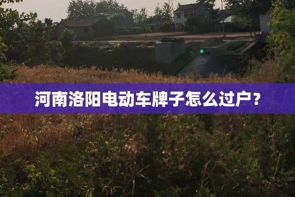 河南洛阳电动车牌子怎么过户？