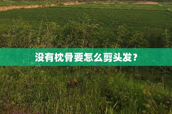 没有枕骨要怎么剪头发？