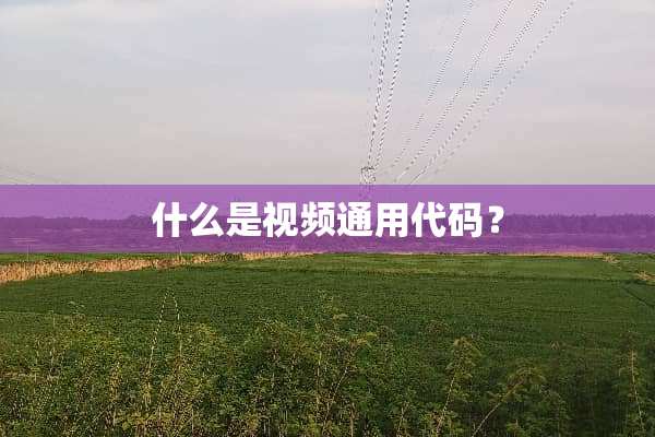 什么是视频通用代码？