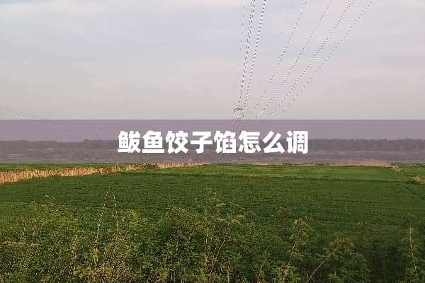 鲅鱼饺子馅怎么调