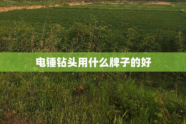 电锤钻头用什么牌子的好