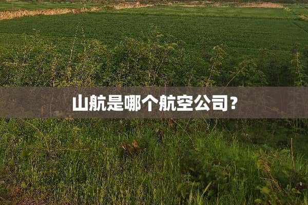 山航是哪个航空公司？