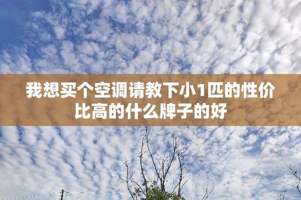 我想买个空调请教下小1匹的性价比高的什么牌子的好