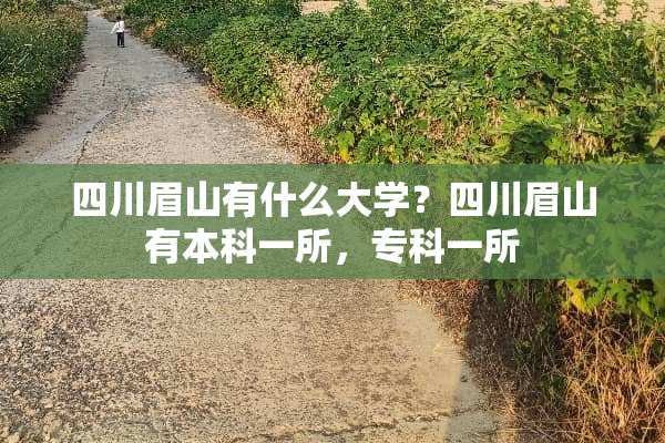 四川眉山有什么大学？四川眉山有本科一所，专科一所
