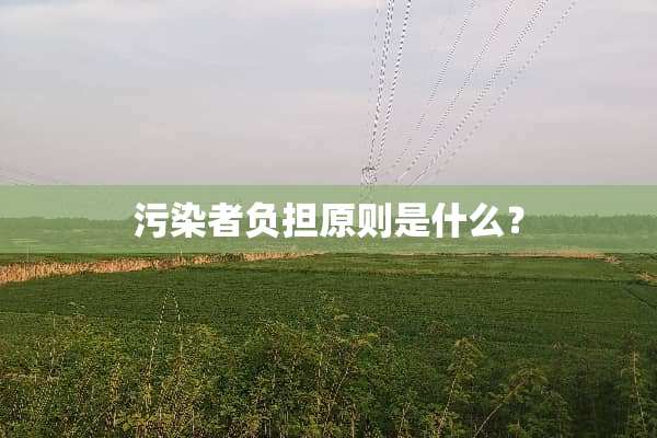 污染者负担原则是什么？