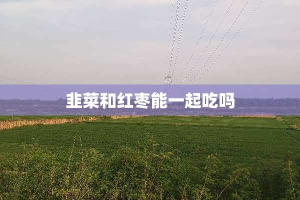 韭菜和红枣能一起吃吗