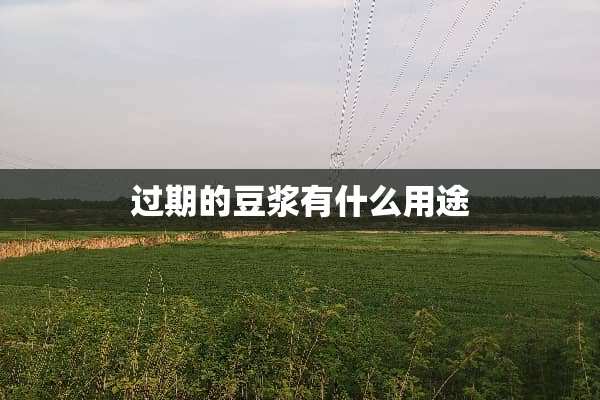 过期的豆浆有什么用途