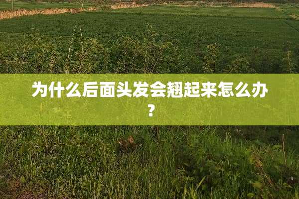 为什么后面头发会翘起来怎么办？