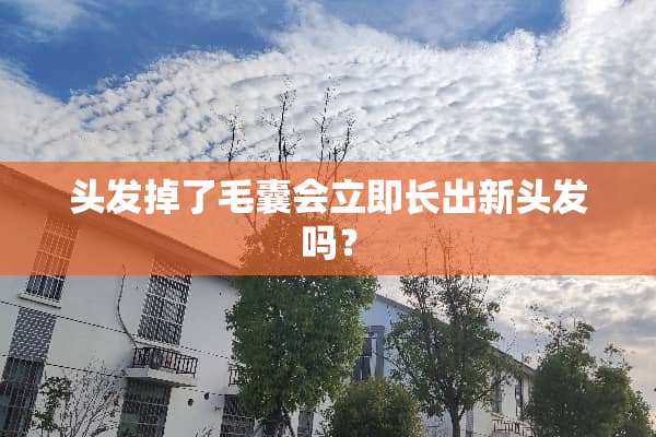 头发掉了毛囊会立即长出新头发吗？
