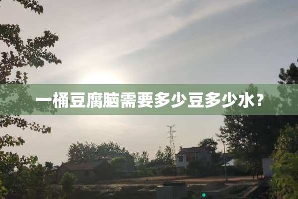 一桶豆腐脑需要多少豆多少水？