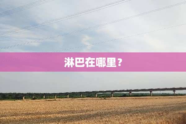 淋巴在哪里？