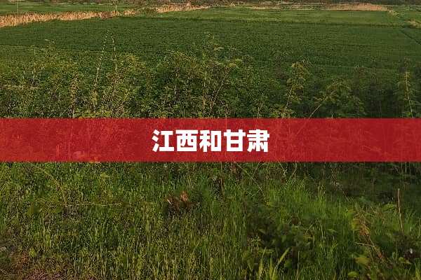 江西和甘肃