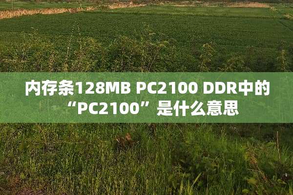 内存条128MB PC2100 DDR中的“PC2100”是什么意思