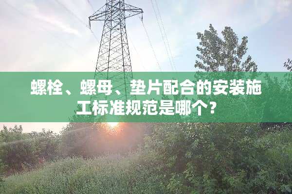 螺栓、螺母、垫片配合的安装施工标准规范是哪个？