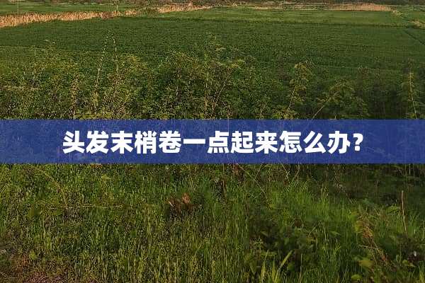头发末梢卷一点起来怎么办？