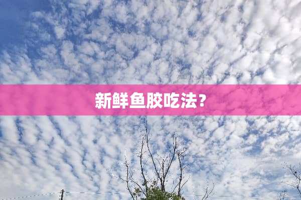 新鲜鱼胶吃法？