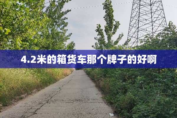 4.2米的箱货车那个牌子的好啊