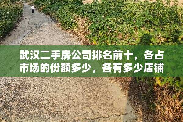 武汉二手房公司排名前十，各占市场的份额多少，各有多少店铺？