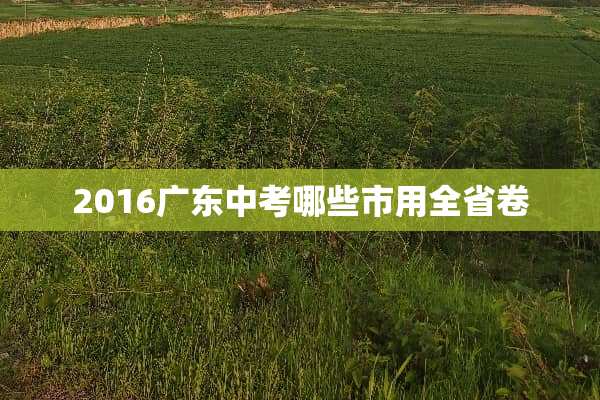 2016广东中考哪些市用全省卷