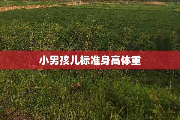 小男孩儿标准身高体重