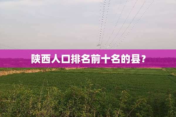 陕西人口排名前十名的县？