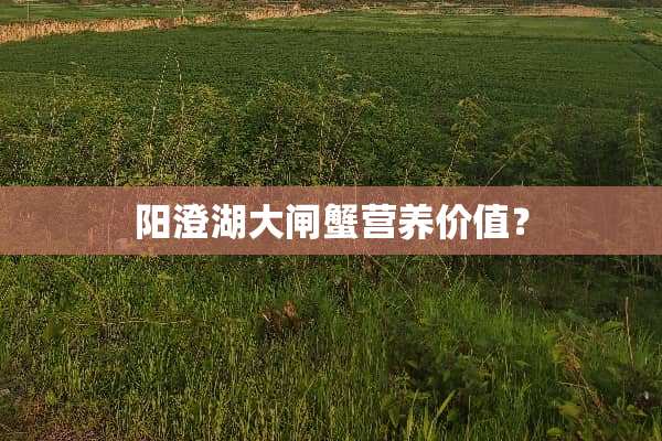 阳澄湖大闸蟹营养价值？
