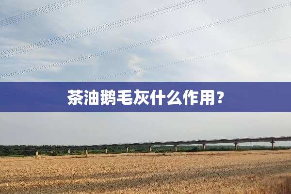 茶油鹅毛灰什么作用？