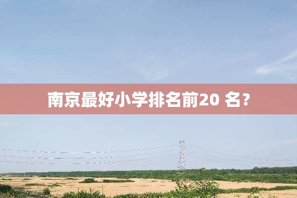 南京最好小学排名前20 名？