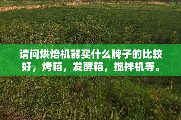 请问烘焙机器买什么牌子的比较好，烤箱，发酵箱，搅拌机等。