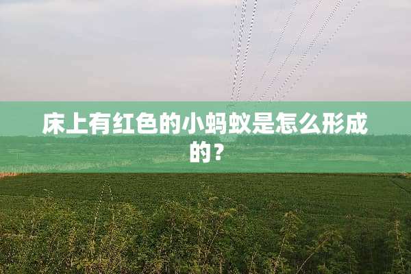 床上有红色的小蚂蚁是怎么形成的？