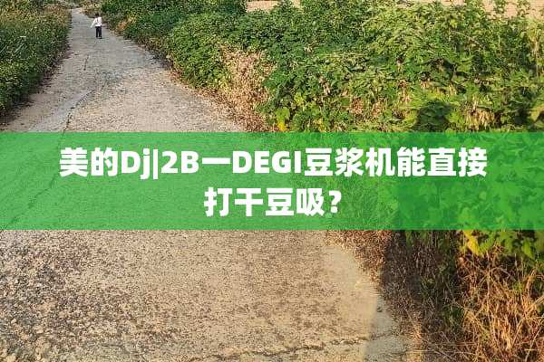 美的Dj|2B一DEGI豆浆机能直接打干豆吸？