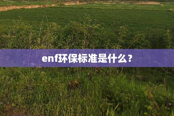 enf环保标准是什么？