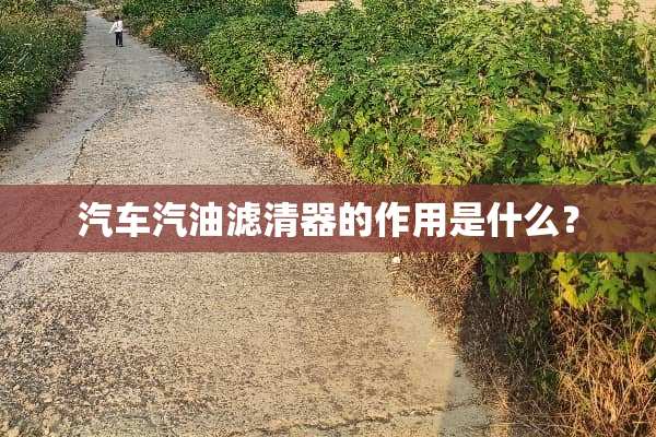 汽车汽油滤清器的作用是什么？