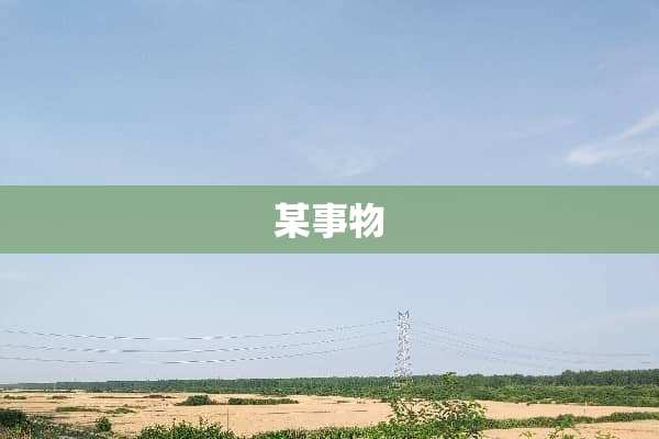 某事物