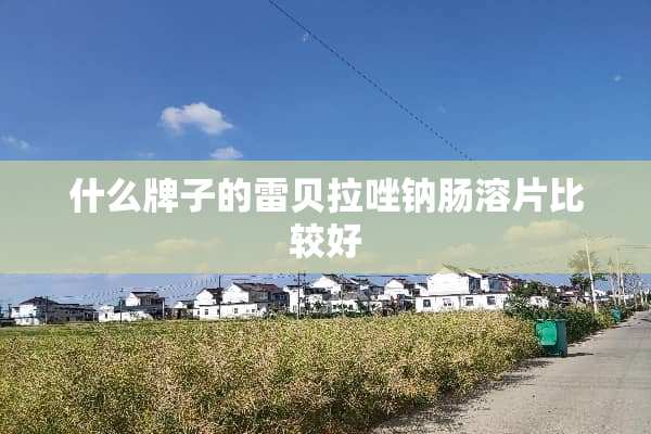 什么牌子的雷贝拉唑钠肠溶片比较好